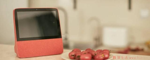 小度x8和x10区别
