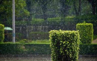 三月份下雨叫什么季节呢?