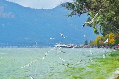 云南滇池海拔多少米?